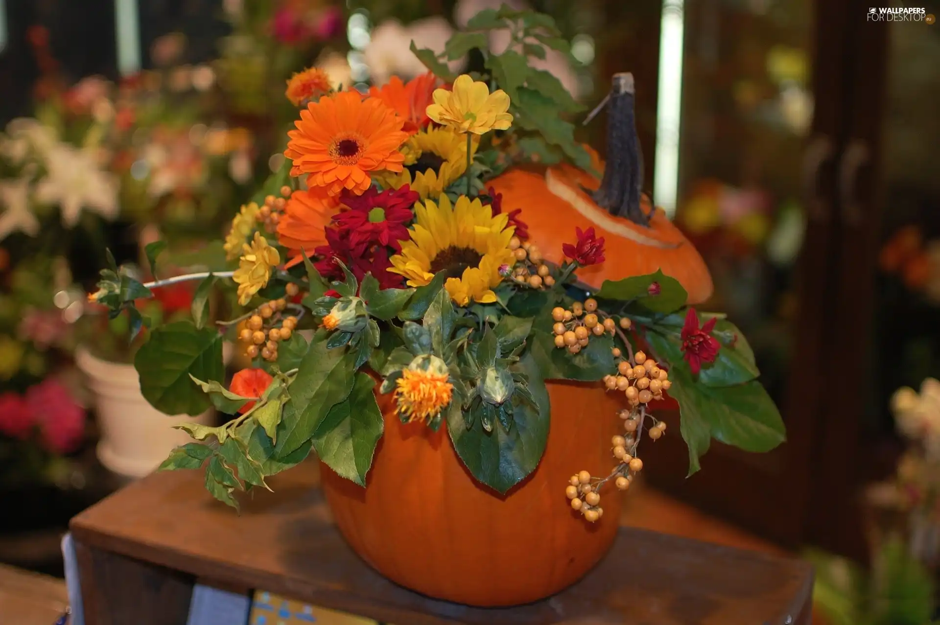 flowers, Autumn, bouquet