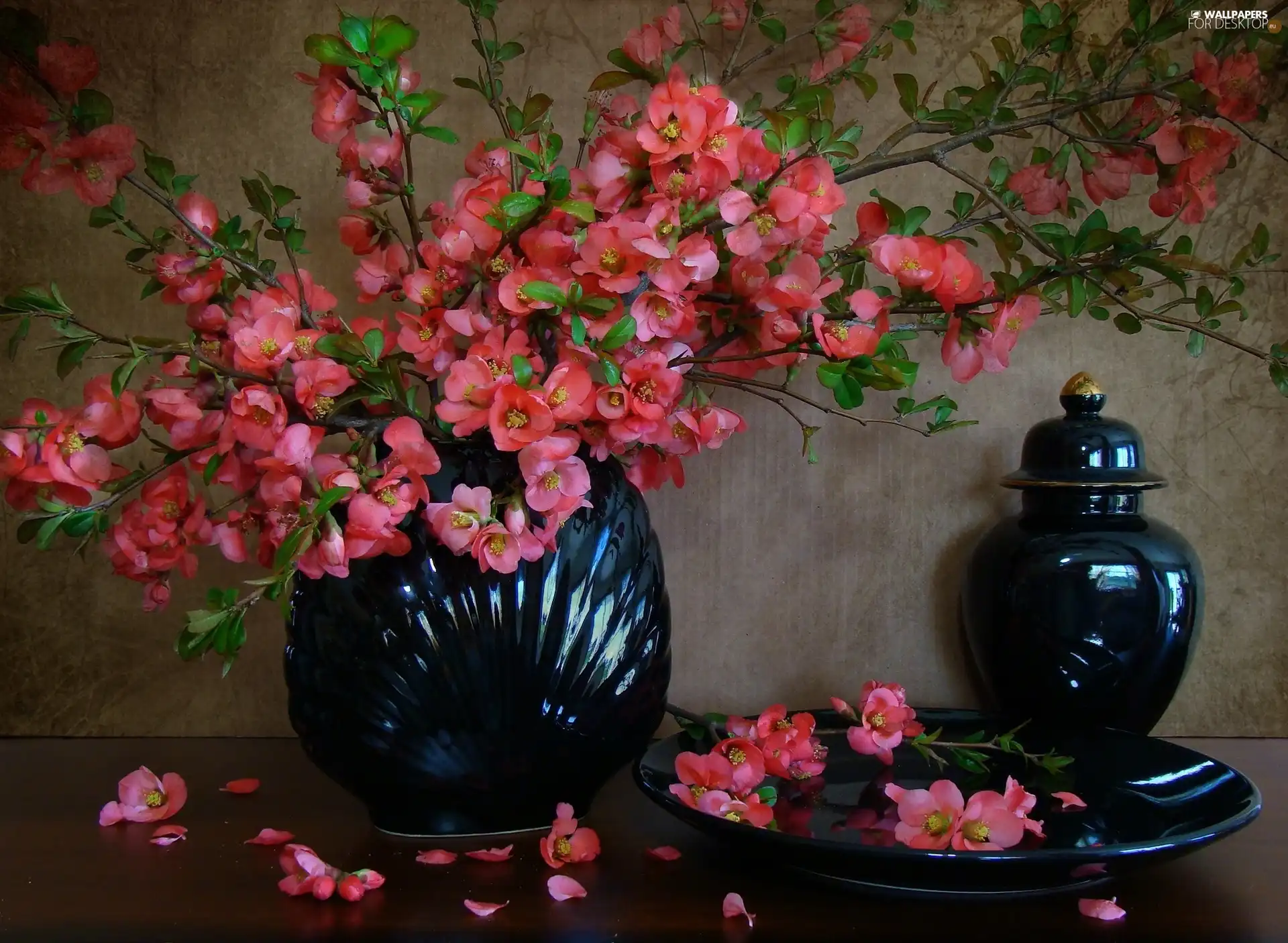 Granate car, Pink, Flowers, china