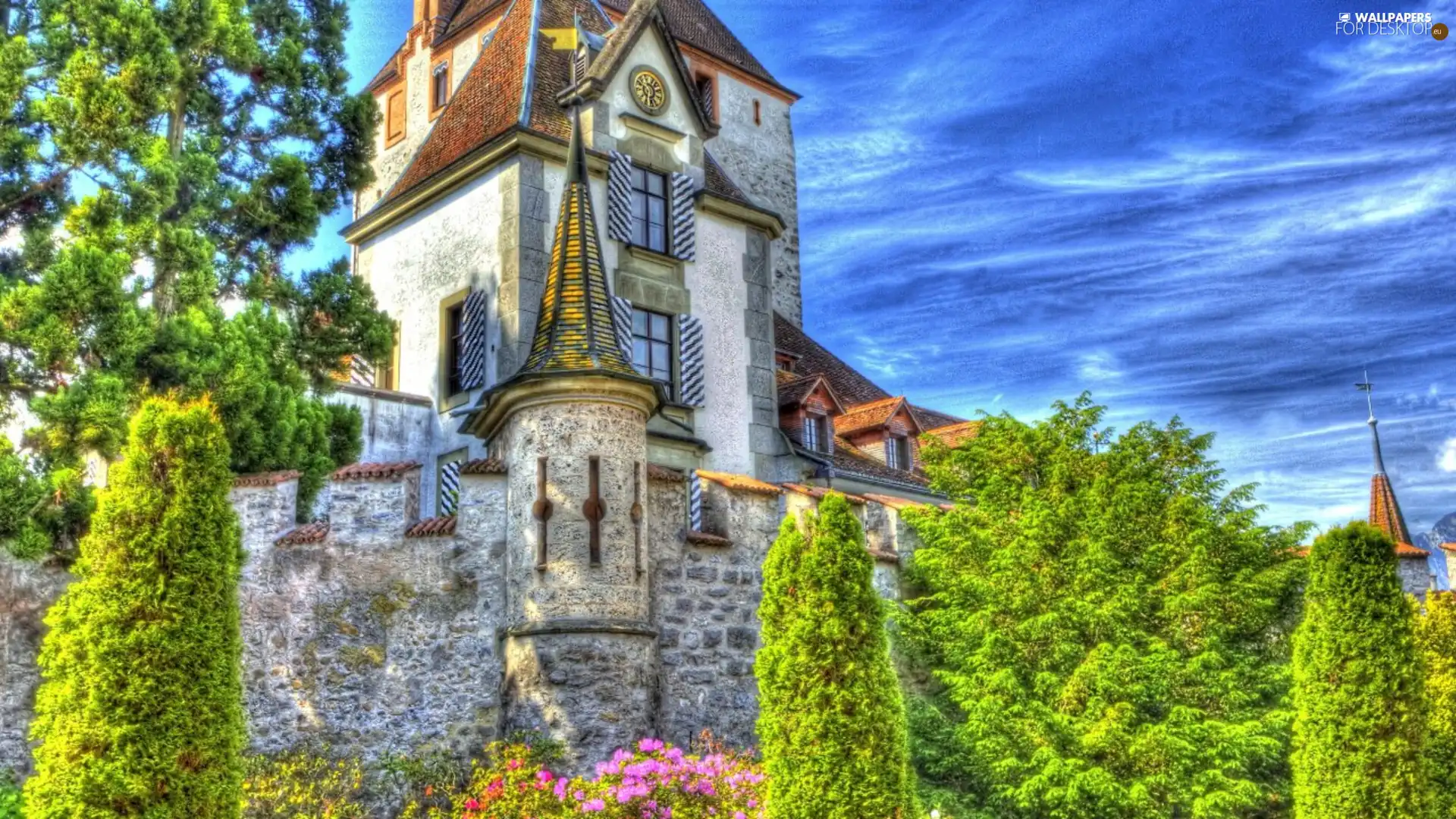 Castle, viewes, Flowers, trees