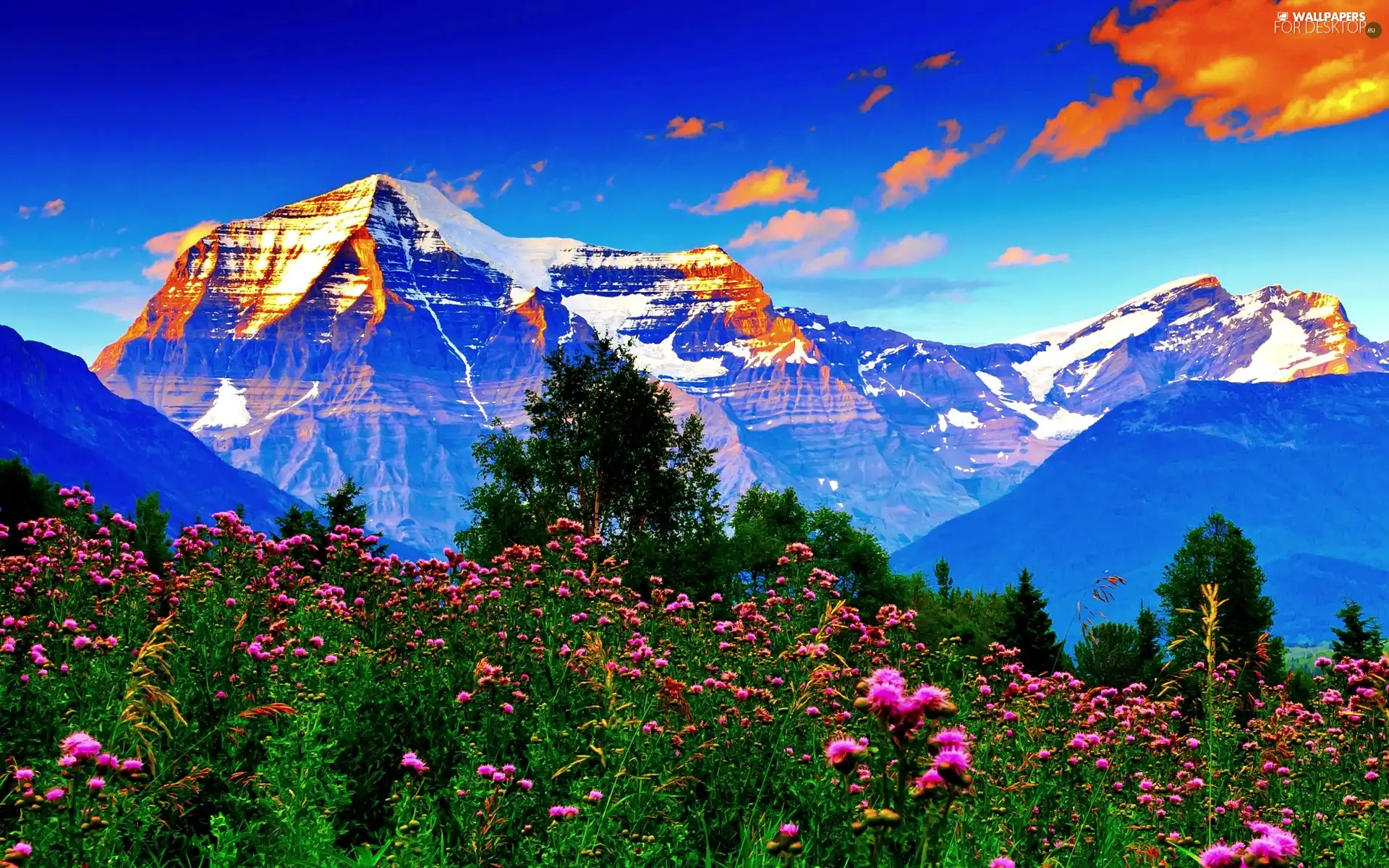 Flowers, Mountains, clouds