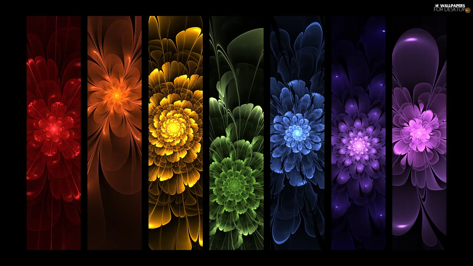 Flowers, Fraktal, color