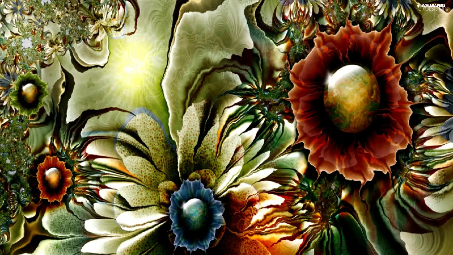 Flowers, graphics, color