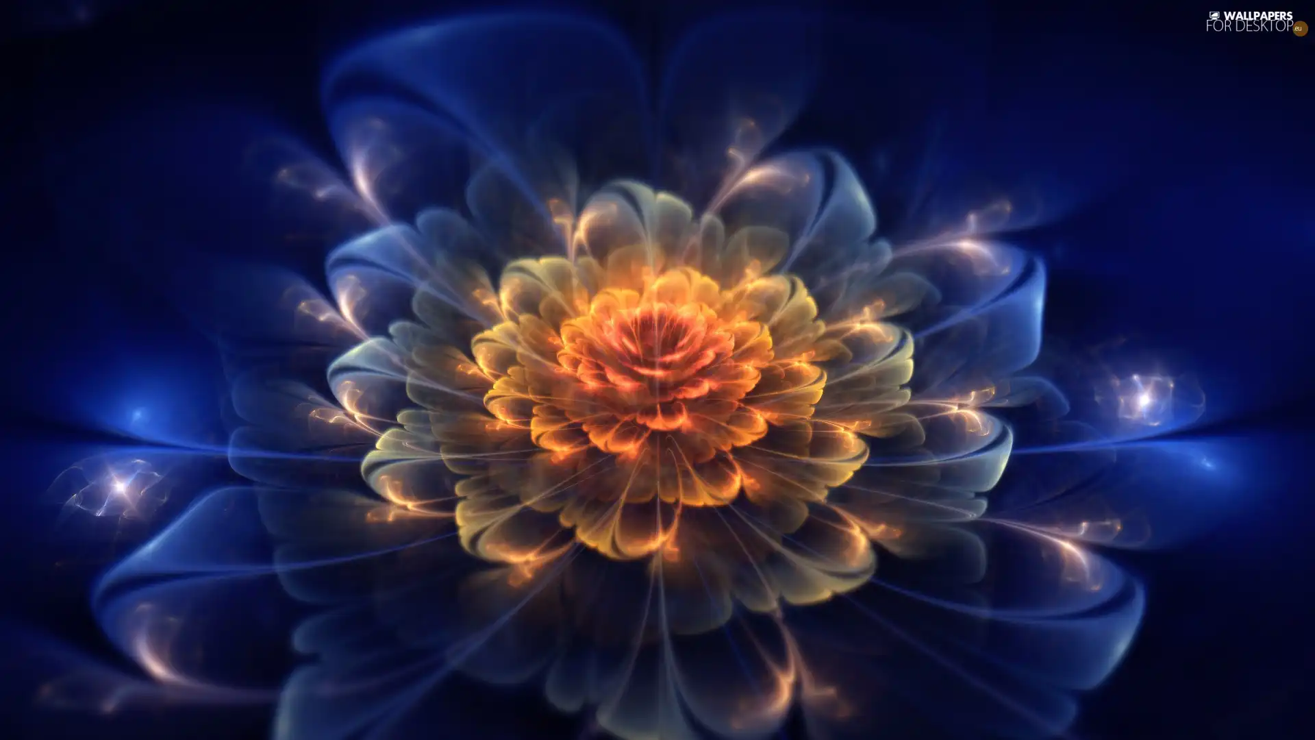 Fractalius, Colourfull Flowers