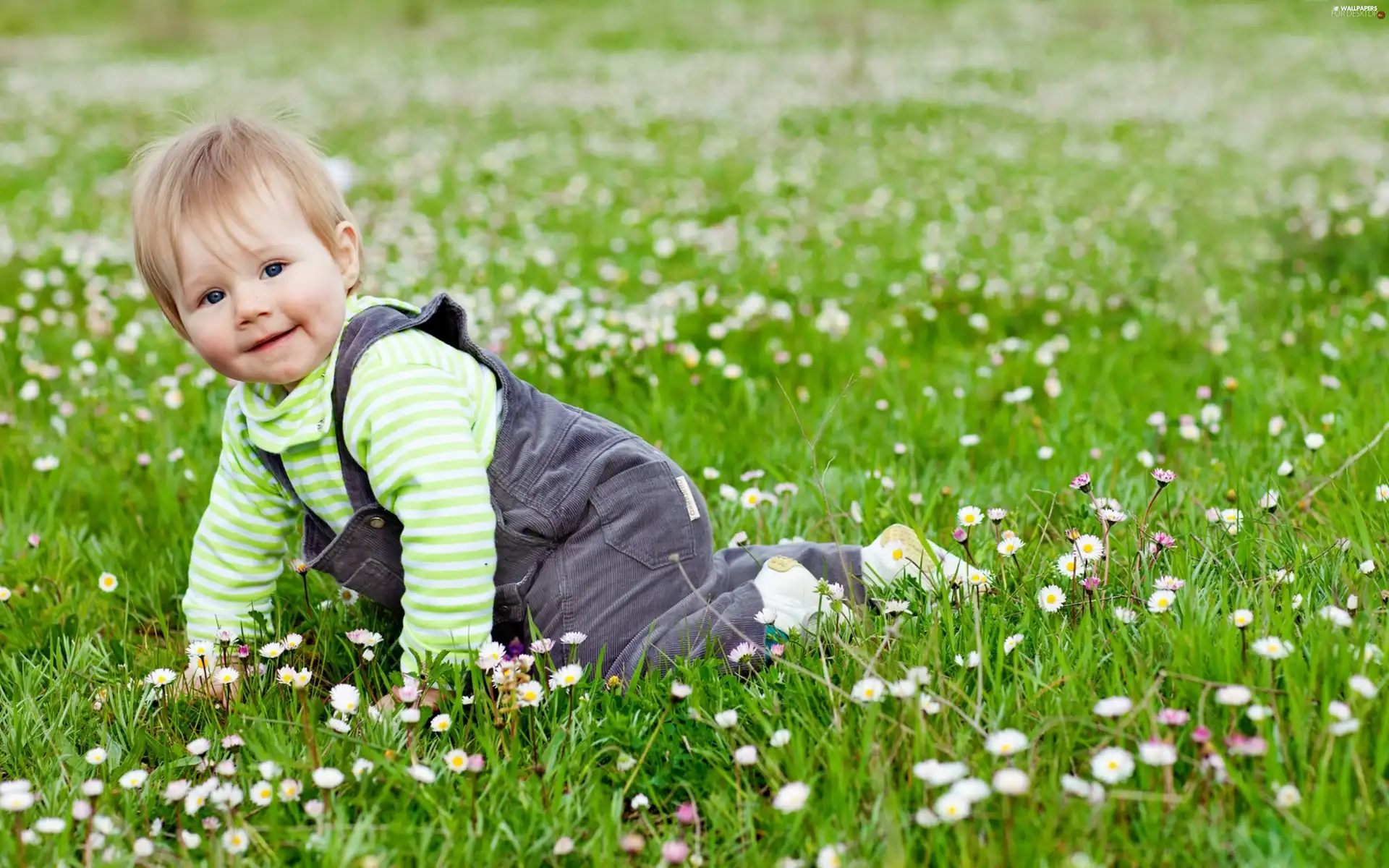 crawling, grass, Flowers, Kid