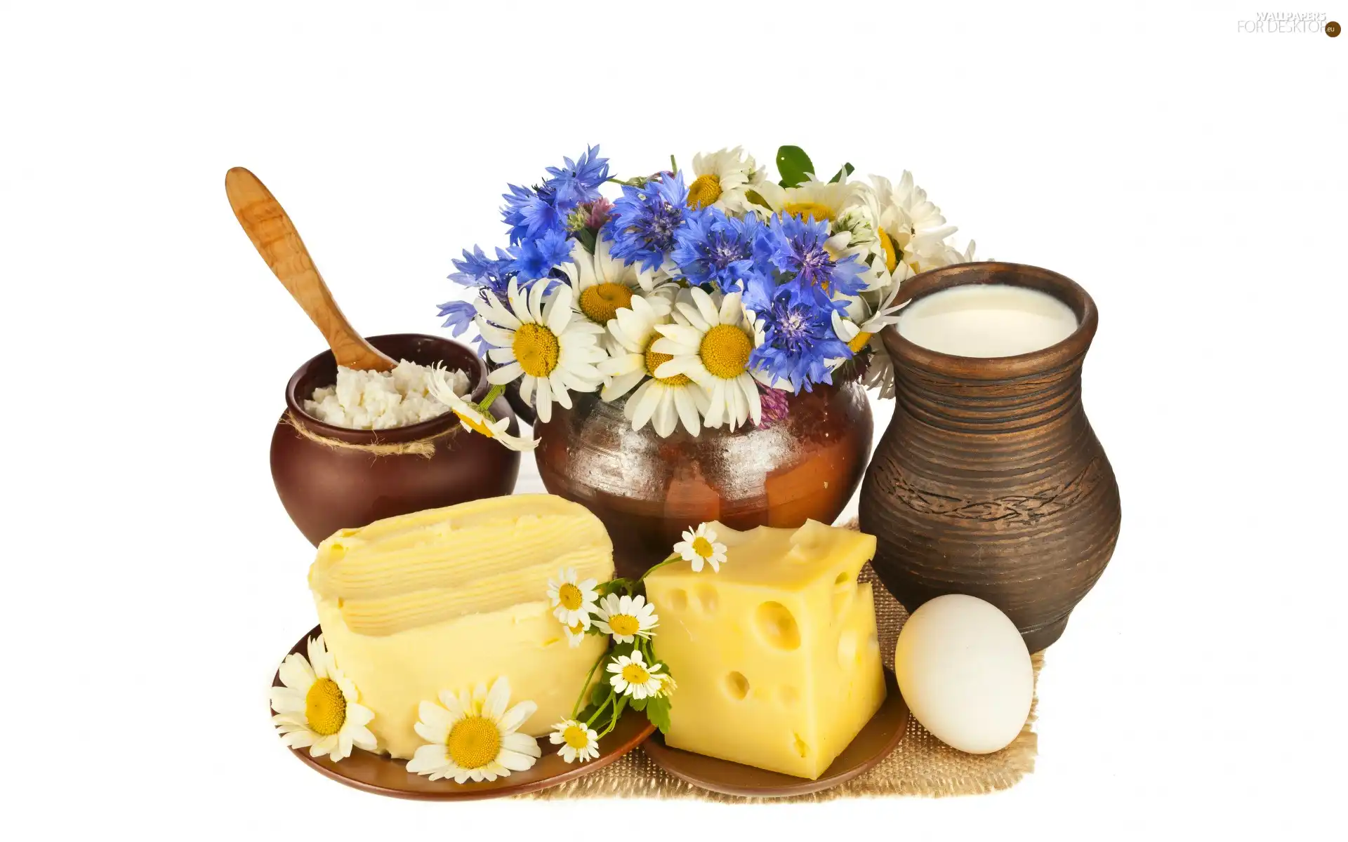 Cheese, Flowers, composition, dairy