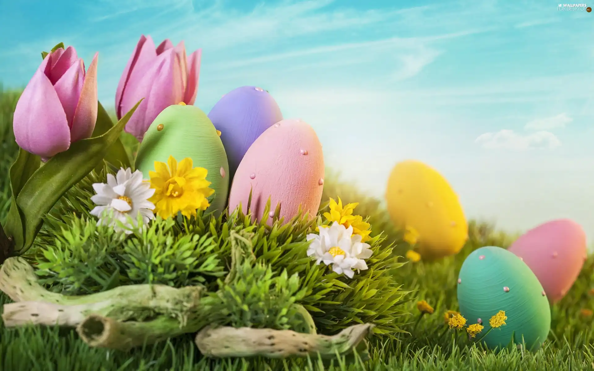 Easter, eggs, Flowers, eggs