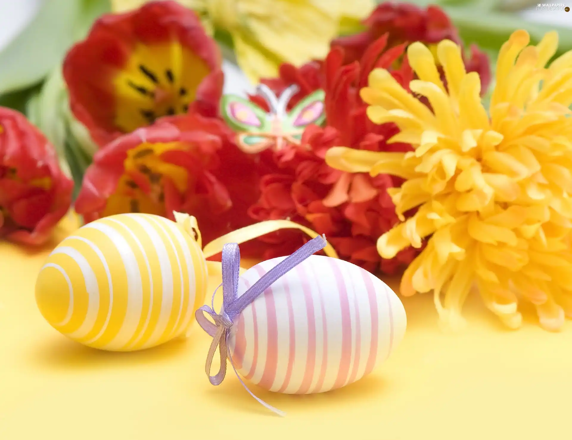 Flowers, Easter, eggs