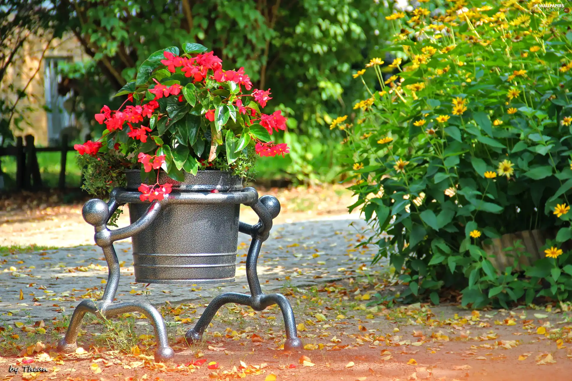 flowerbed, Flowers