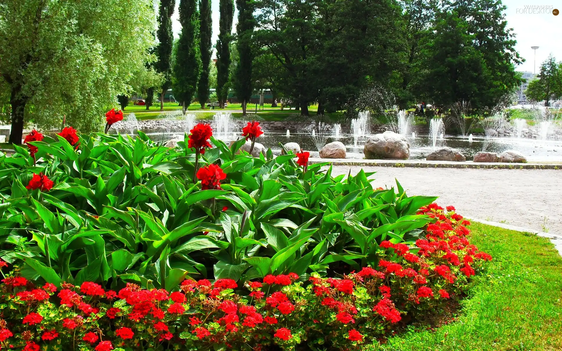 Flowers, fountain, flowerbed, Red, Park