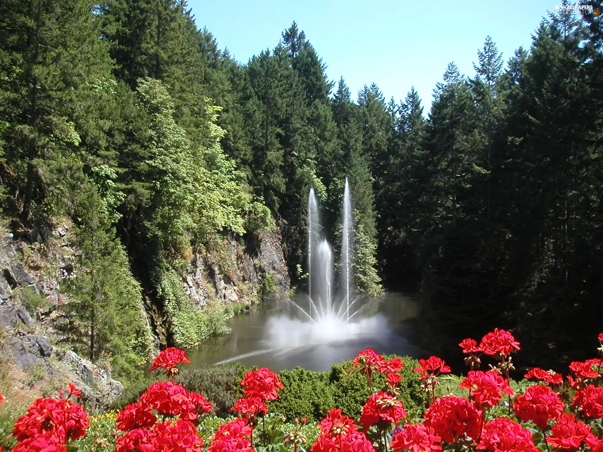Flowers, fountain, mountains, Red, The wooded