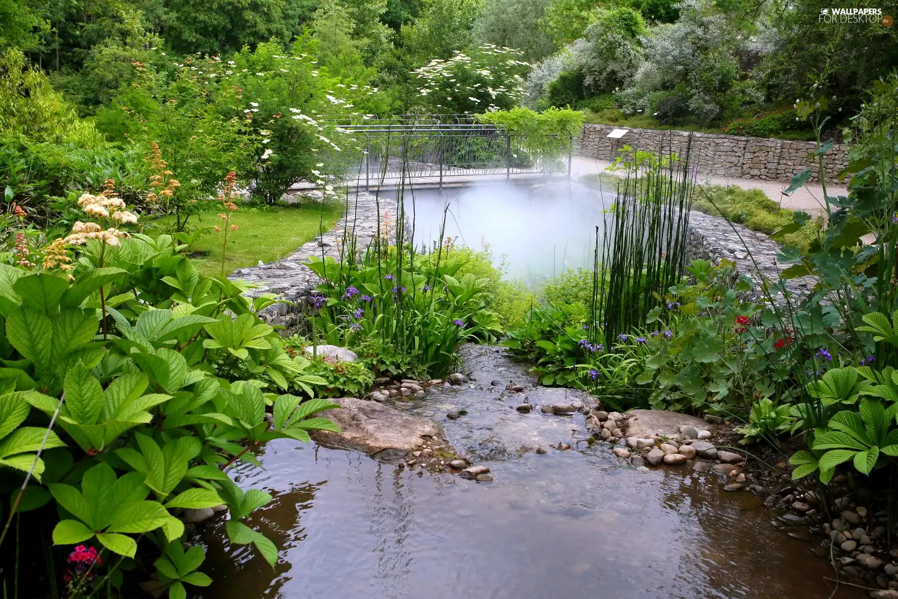 Garden, Plants, Flowers, pond