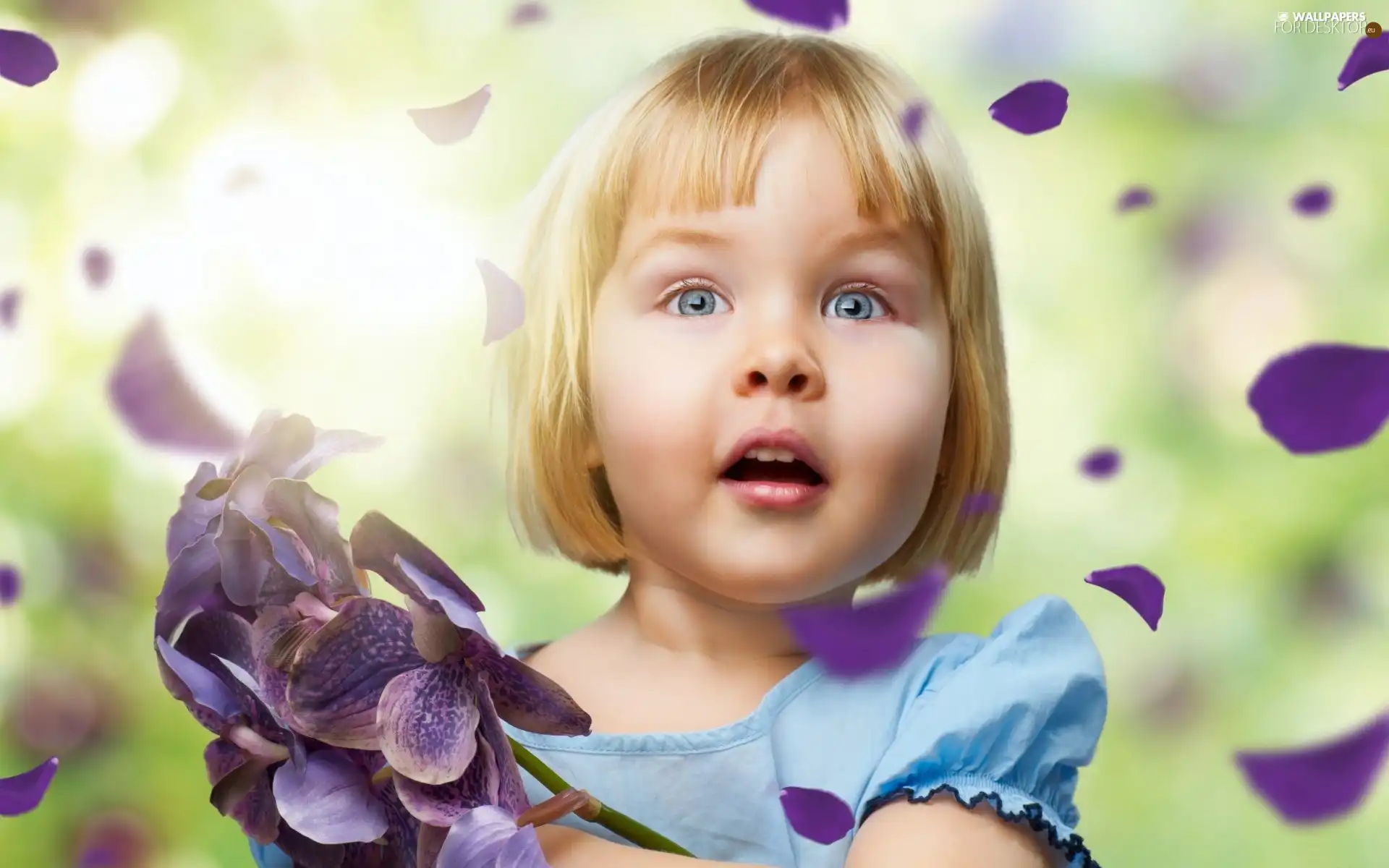 girl, flakes, flowers, surprise