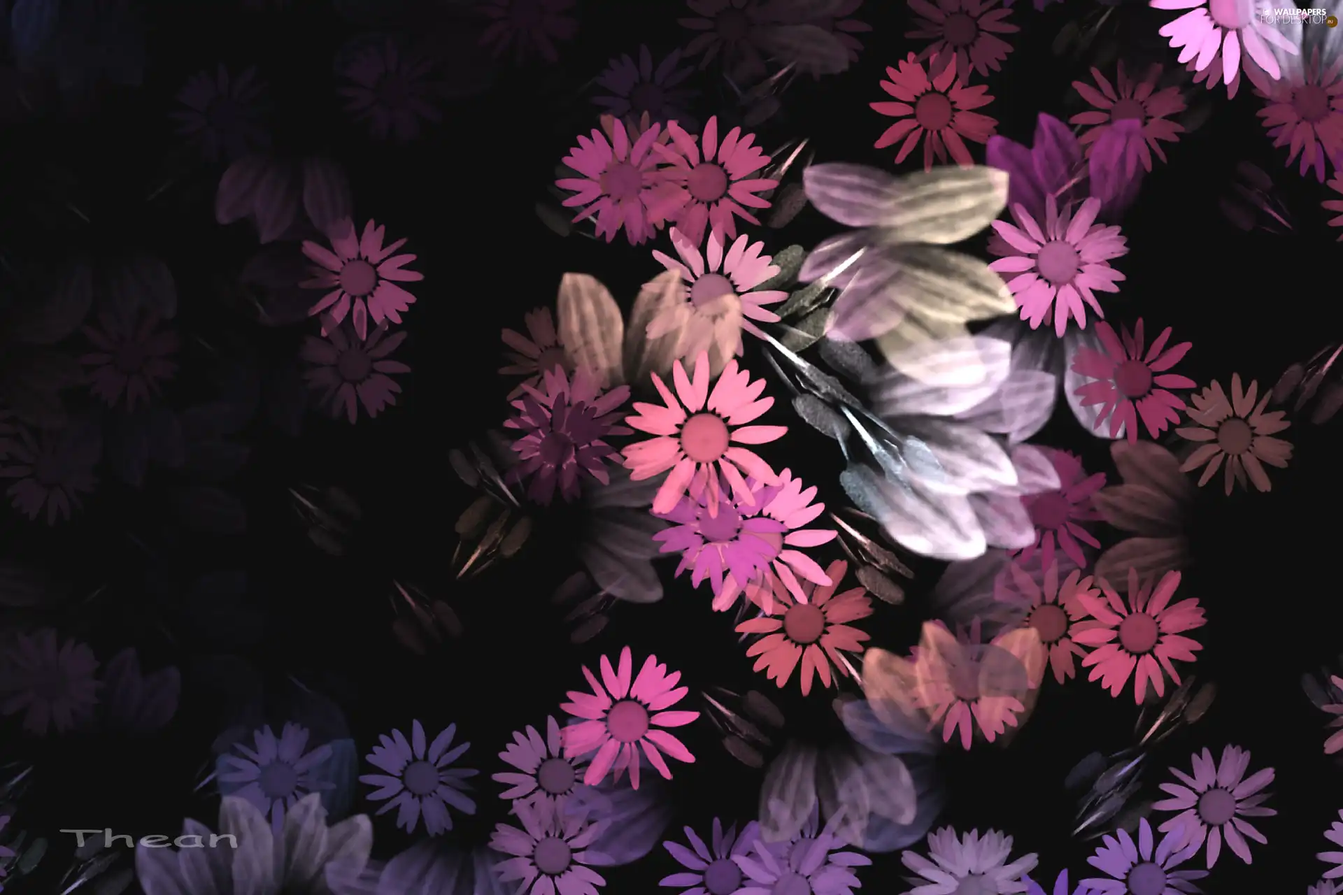graphics, Flowers