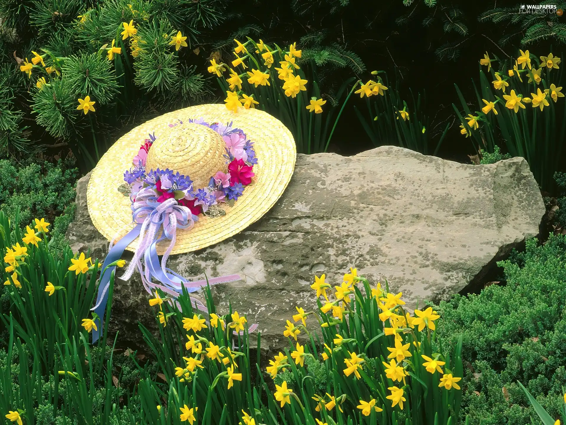 Flowers, Stone, Hat