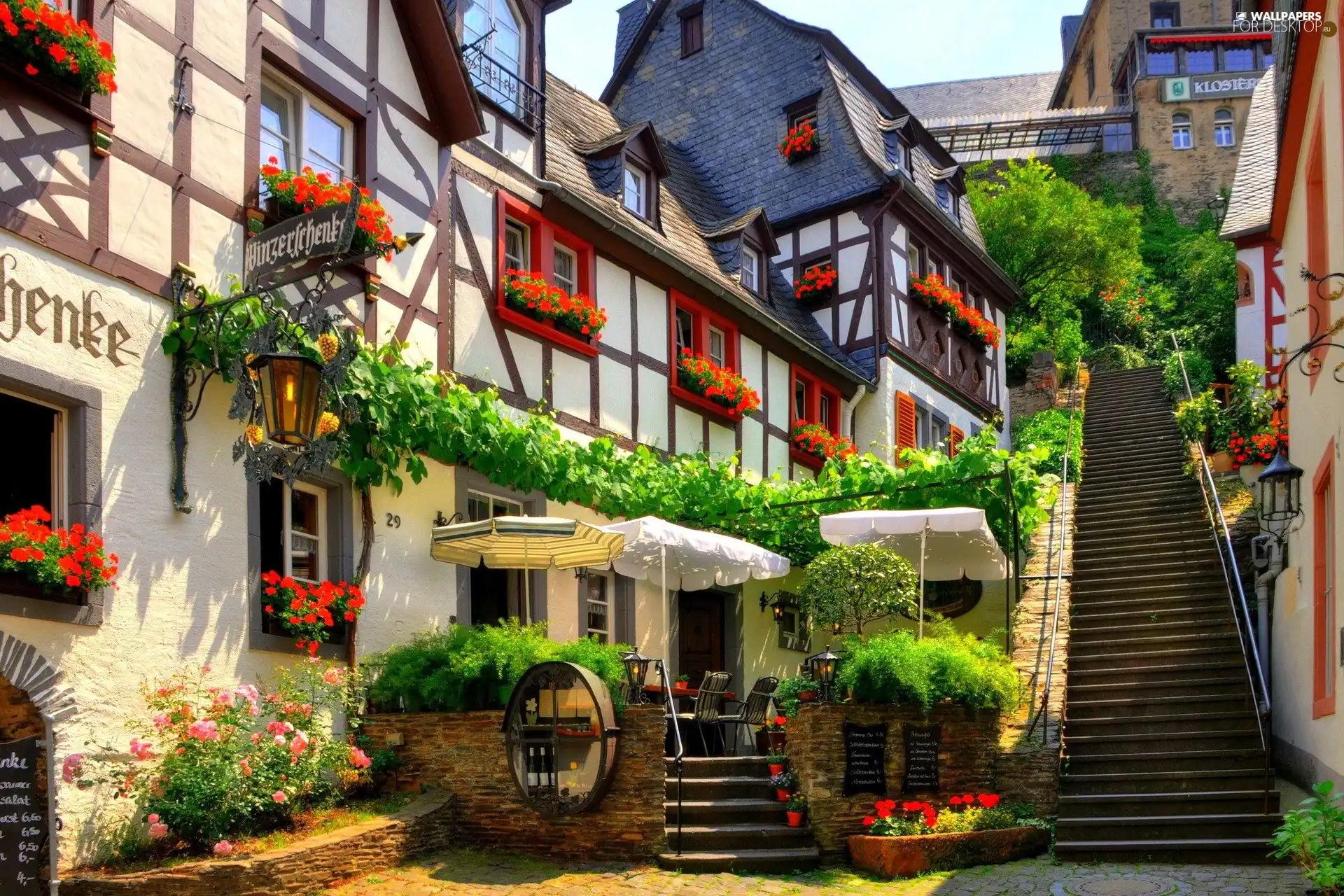 Houses, Sunshade, Flowers, Stairs