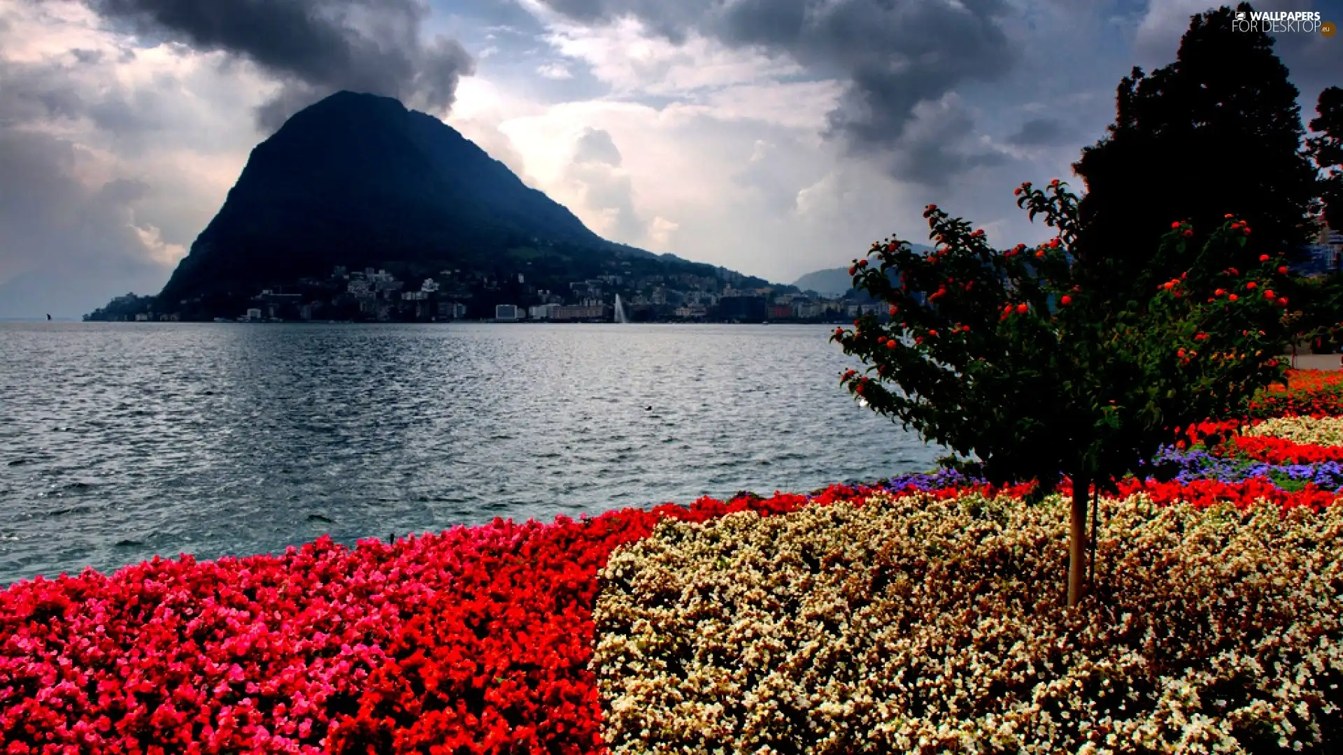 Flowers, mountains, lake