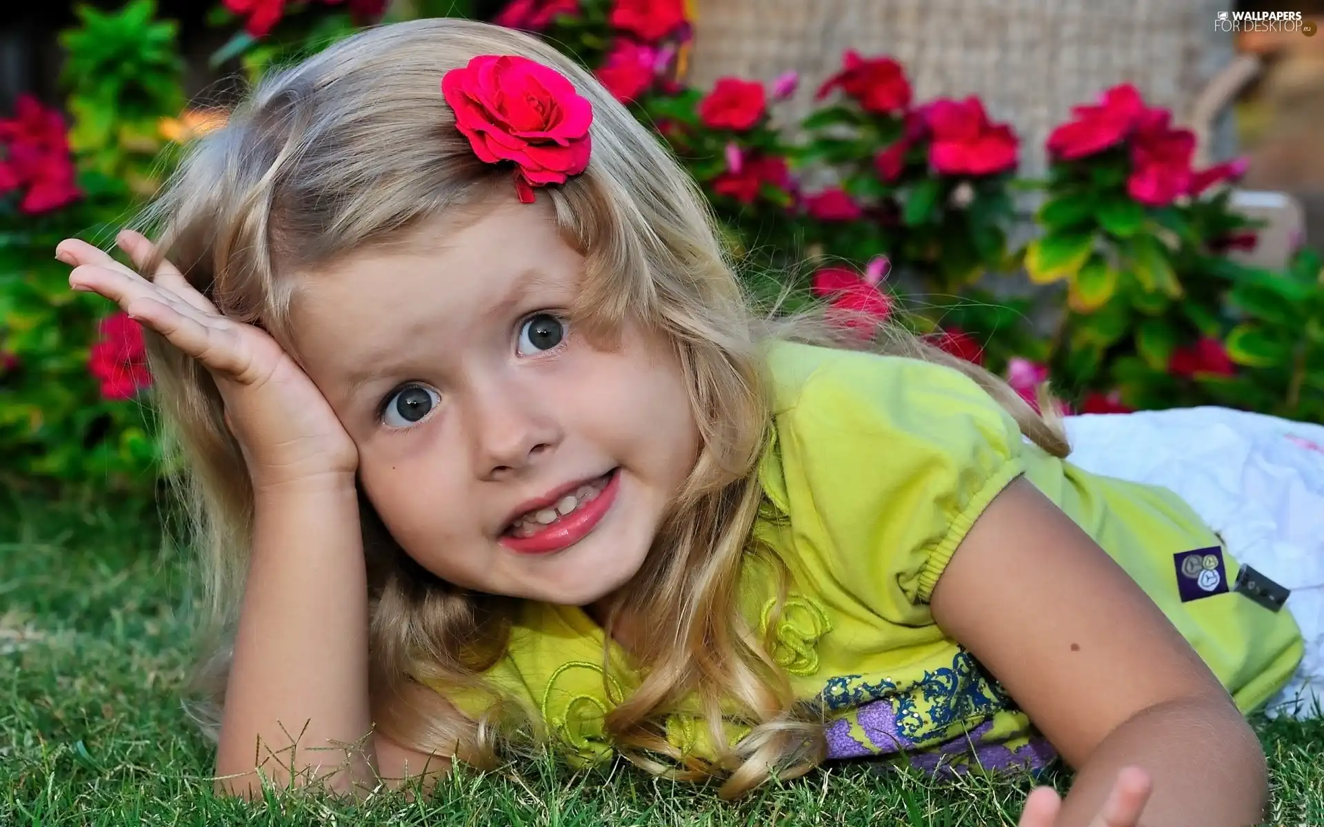 laying, Garden, Flowers, girl