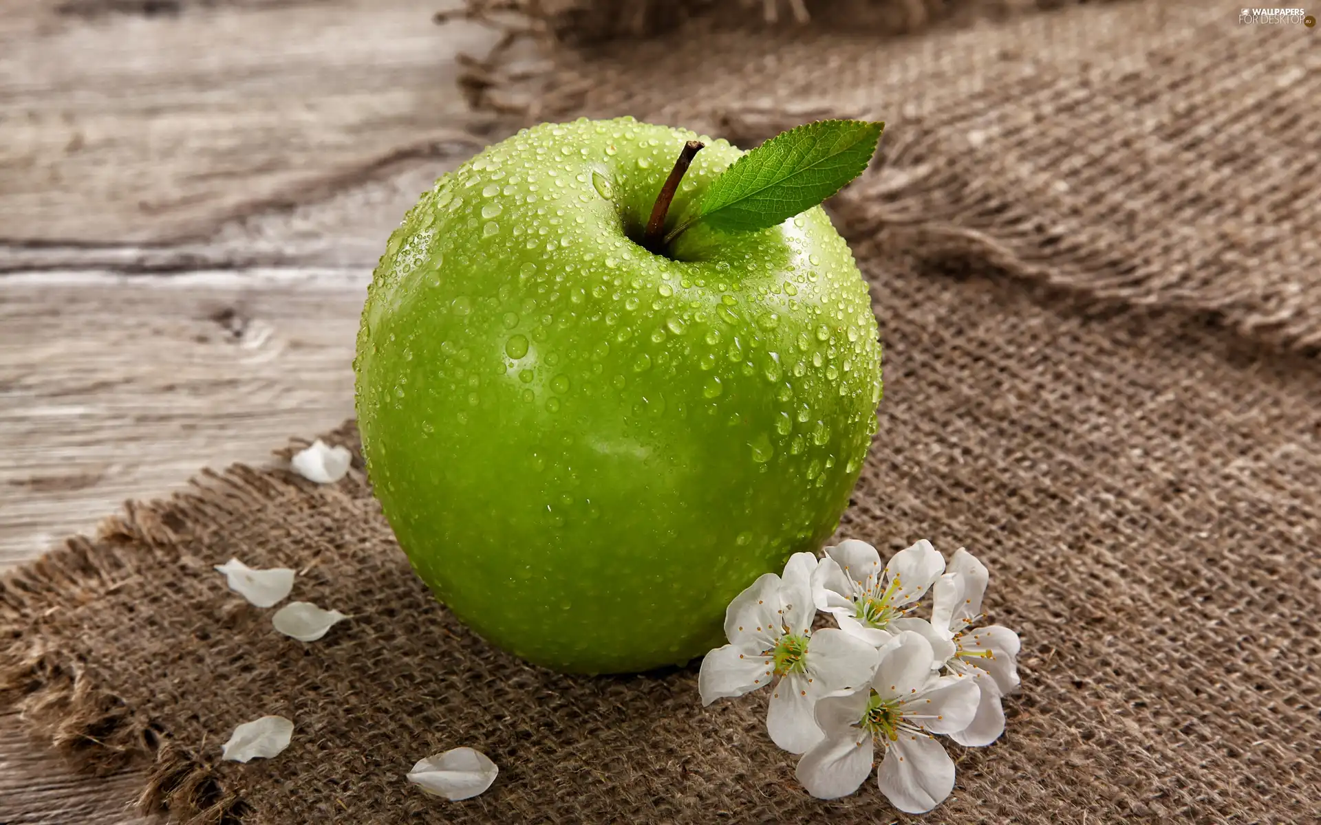 Flowers, Apple, leaf