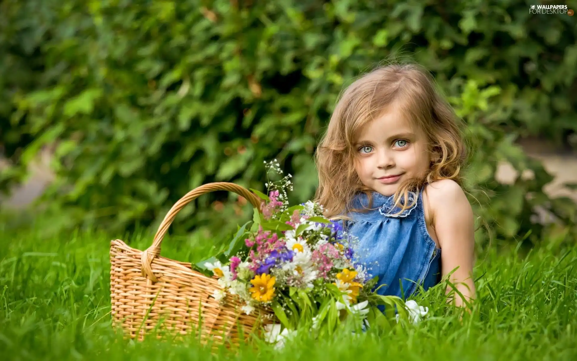 Flowers, girl, Meadow