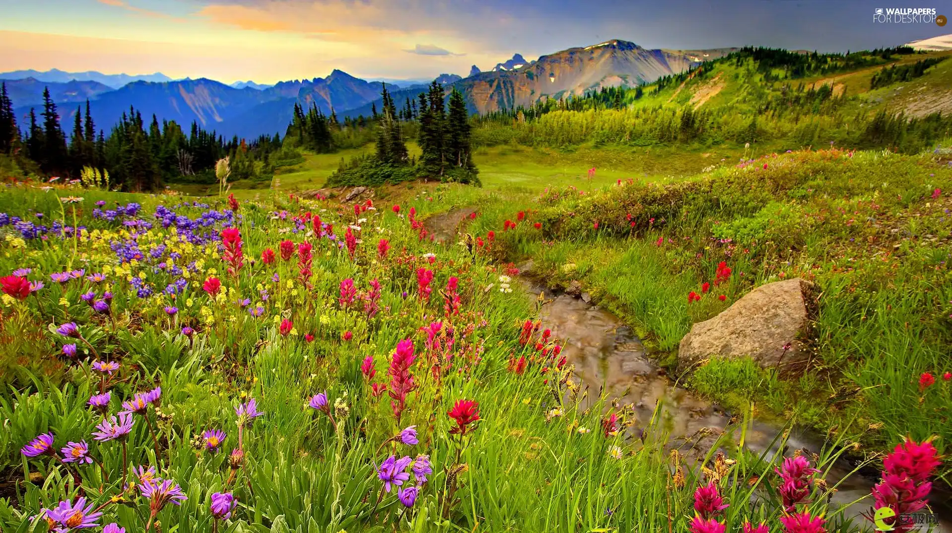 Mountains, stream, Flowers, Meadow