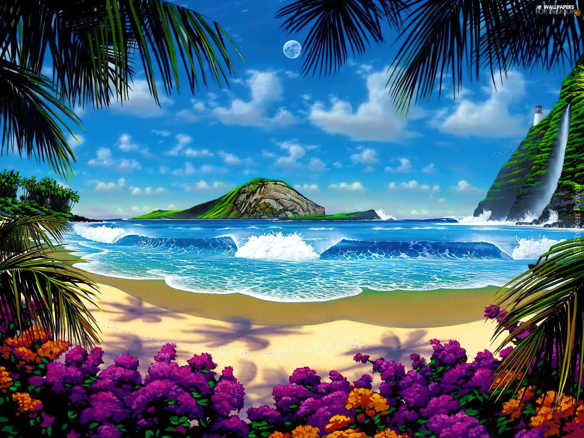 Flowers, Palms, Beaches, rocks, sea