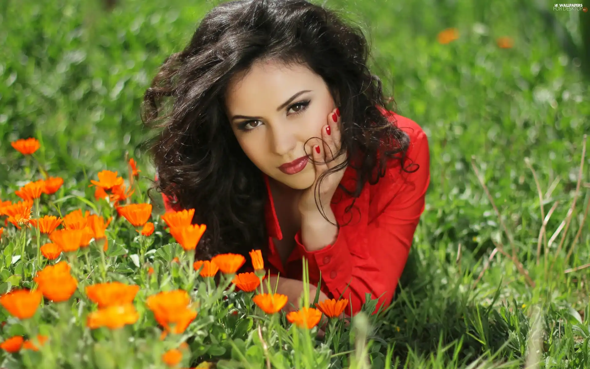 Park, grass, Flowers, Women