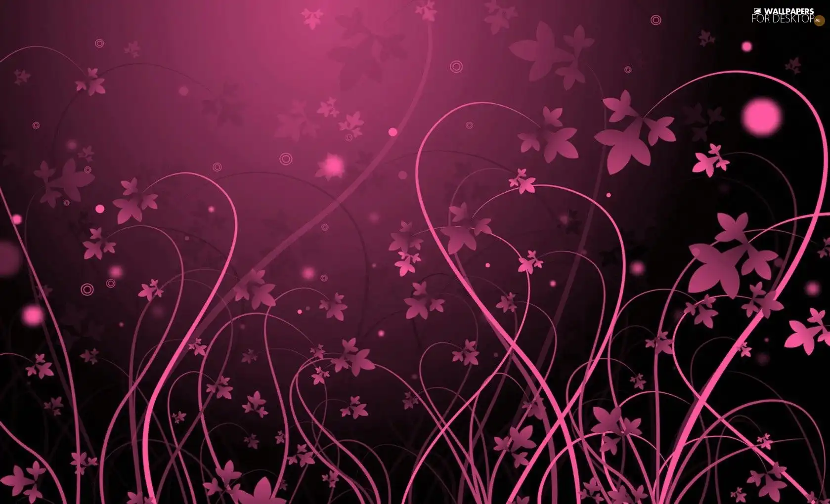 Pink, flowers