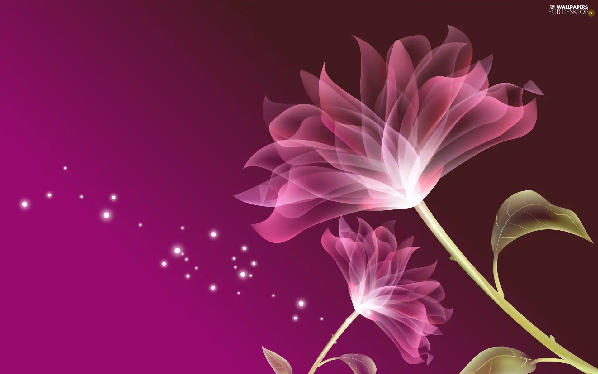 Pink, Flowers