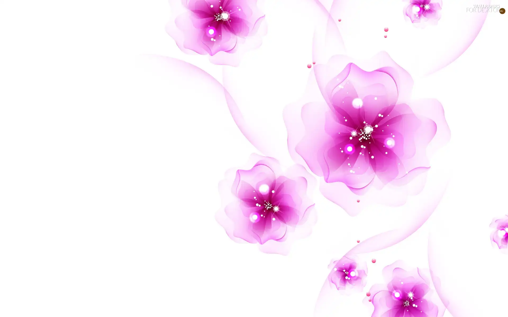 Pink, Flowers