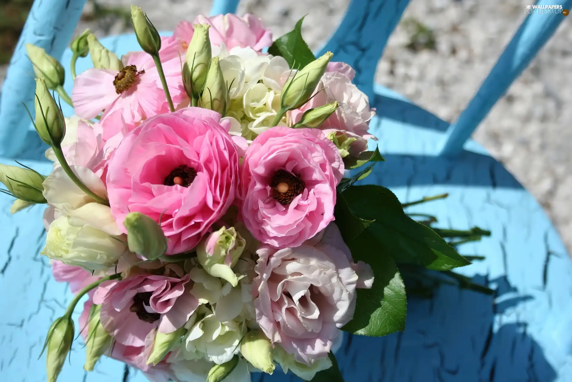 flowers, bouquet, pink