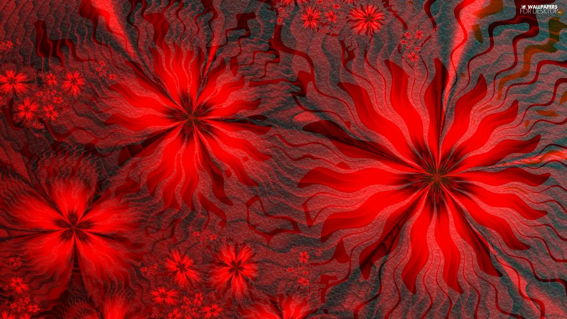 Flowers, texture, Red
