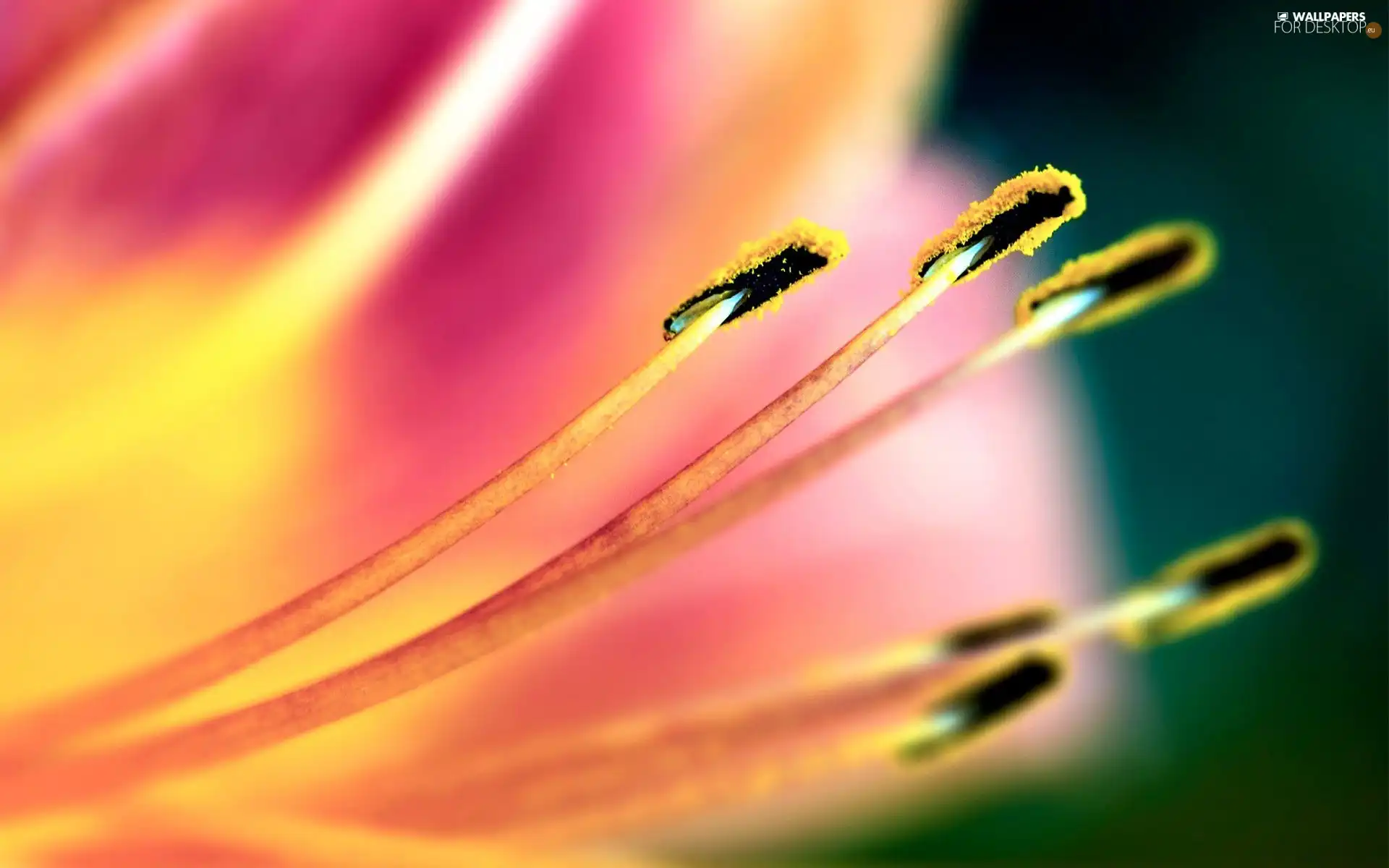 rods, flowers