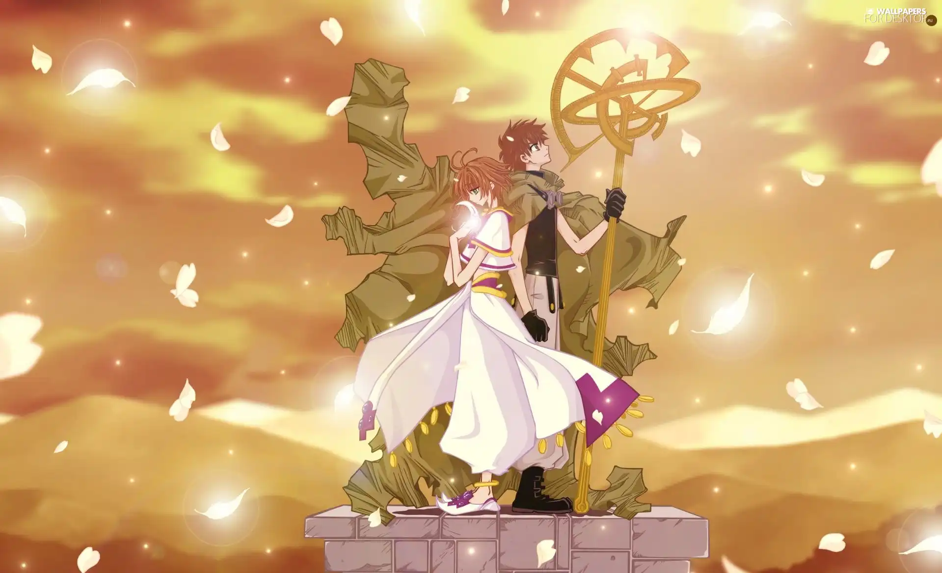 Sakura, flakes, flowers, Shaoran