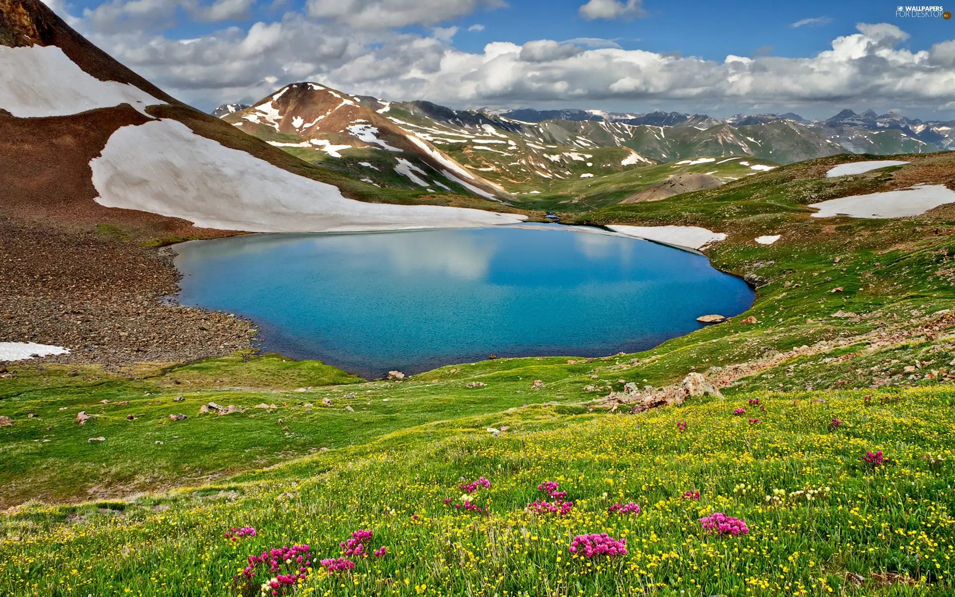 Flowers, snow, lake, Wildflowers, Mountains