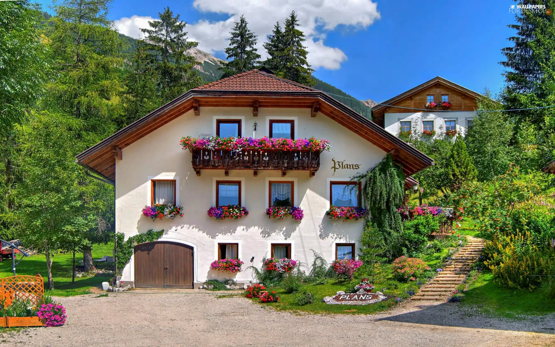 Flowers, house, Spring