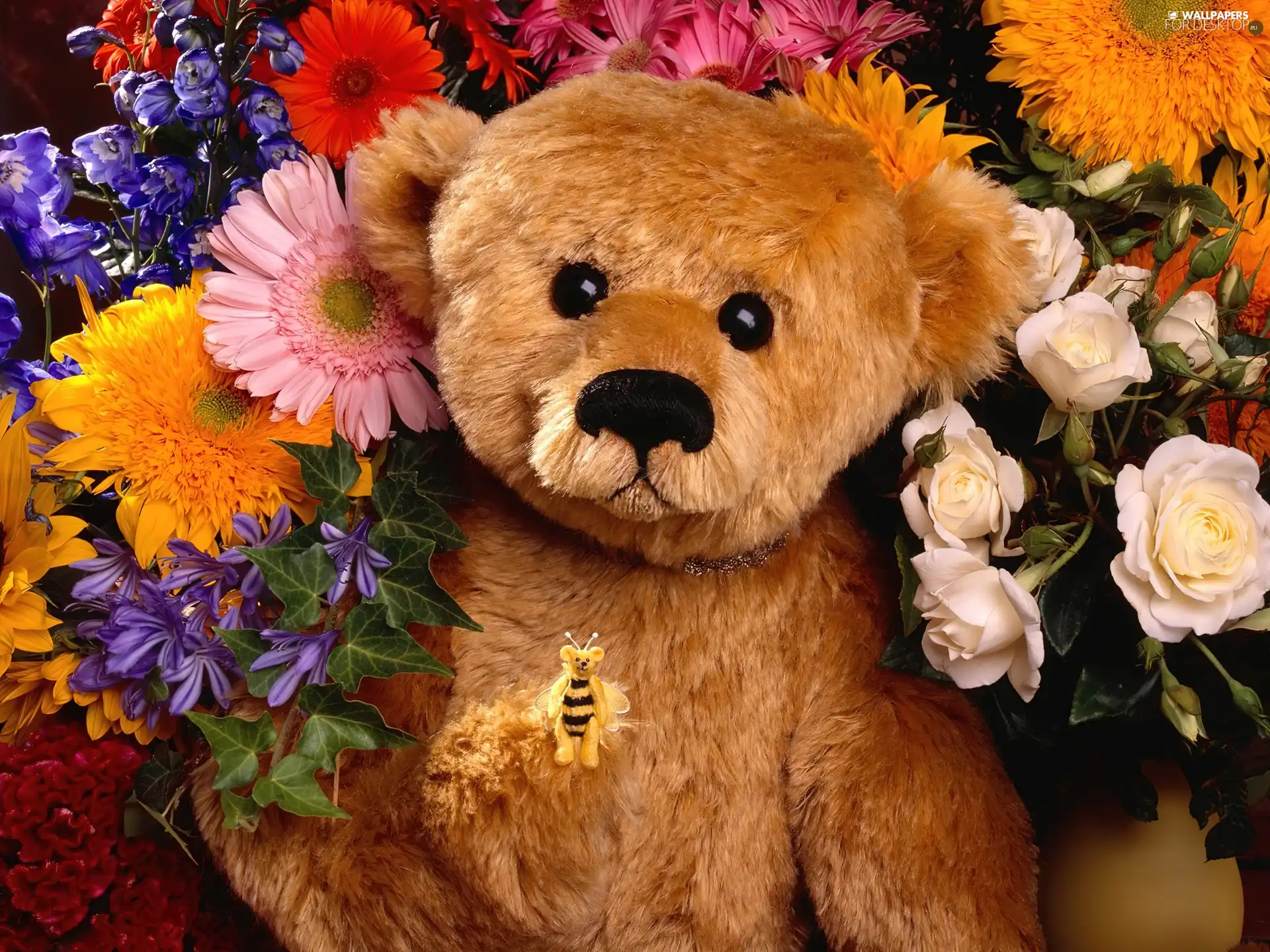 Flowers, Plush, teddybear