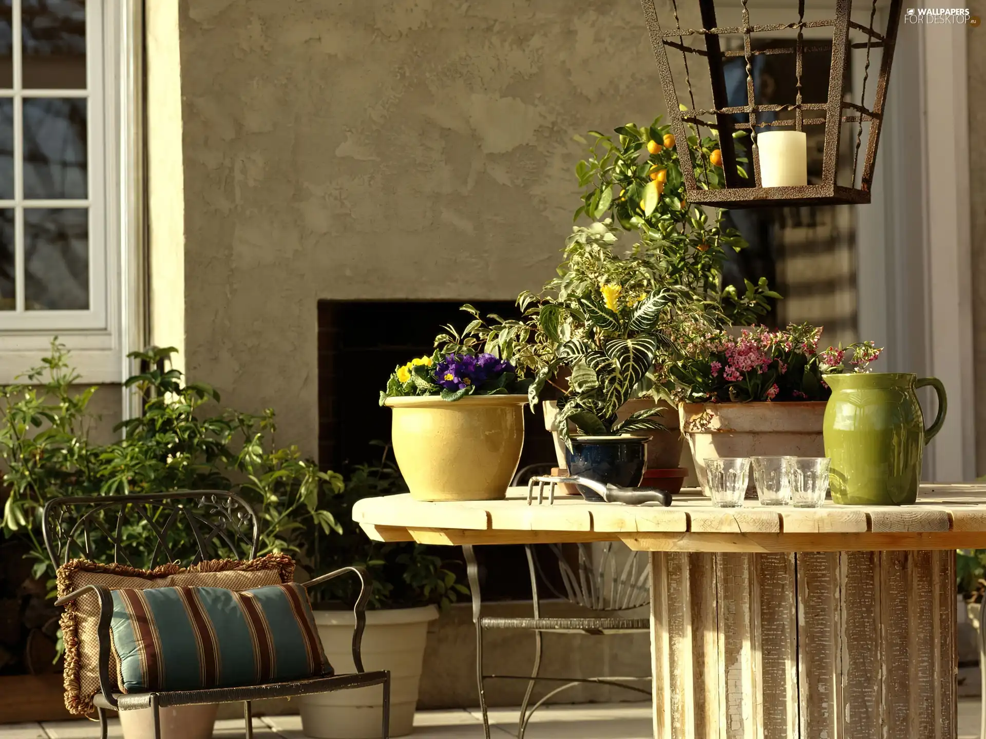 Flowers, interior, terrace