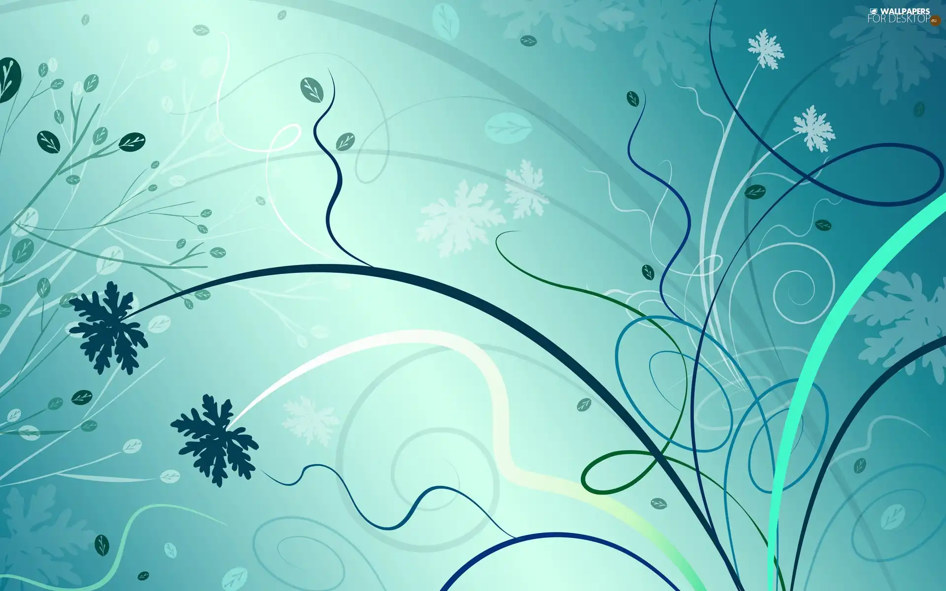 texture, Flowers