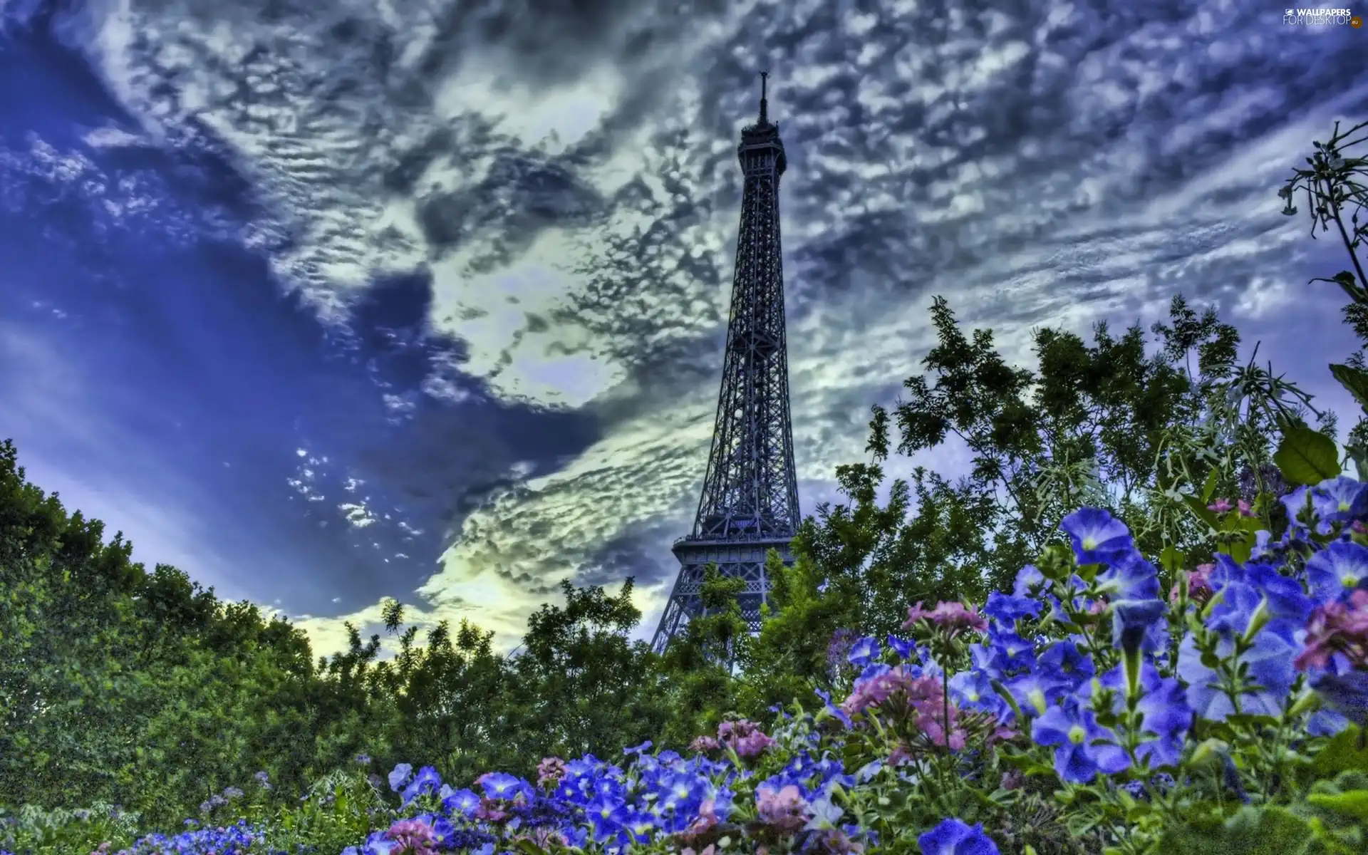 tower, clouds, Flowers, Eiffla