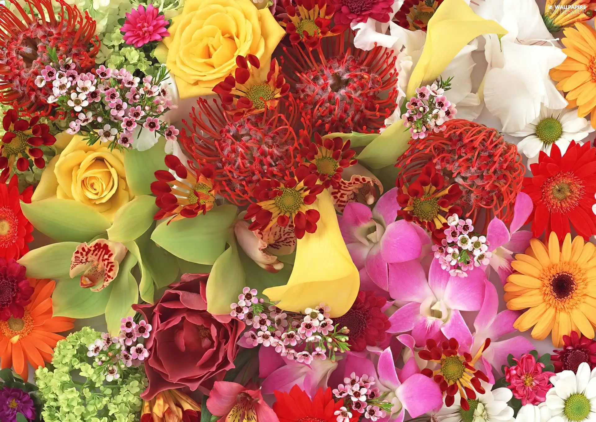 Flowers, bouquet, Various