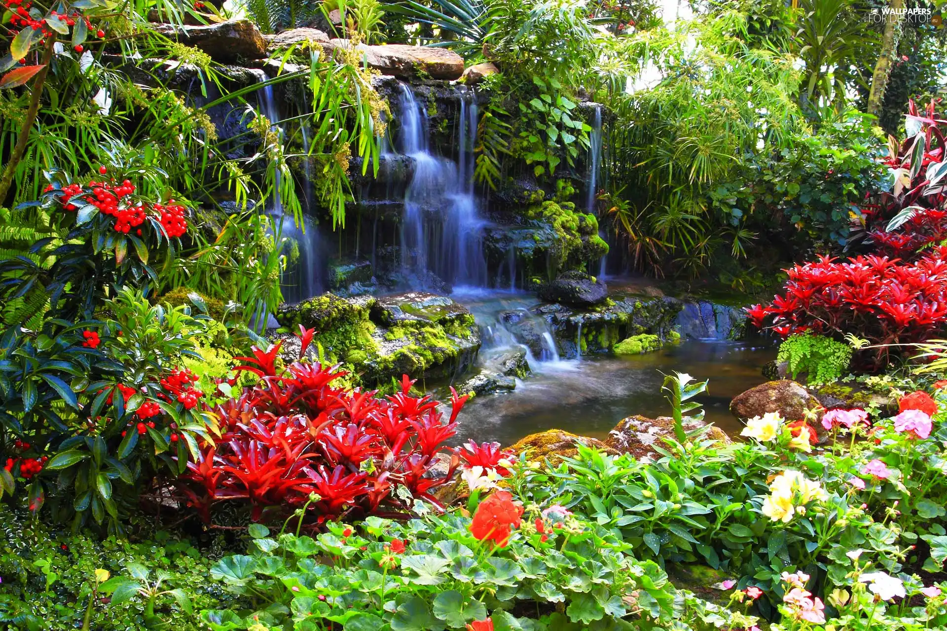 waterfall, Flowers