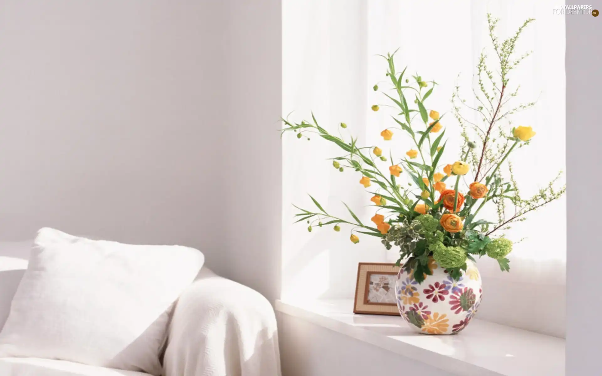 Window, Orange, Flowers, Vase