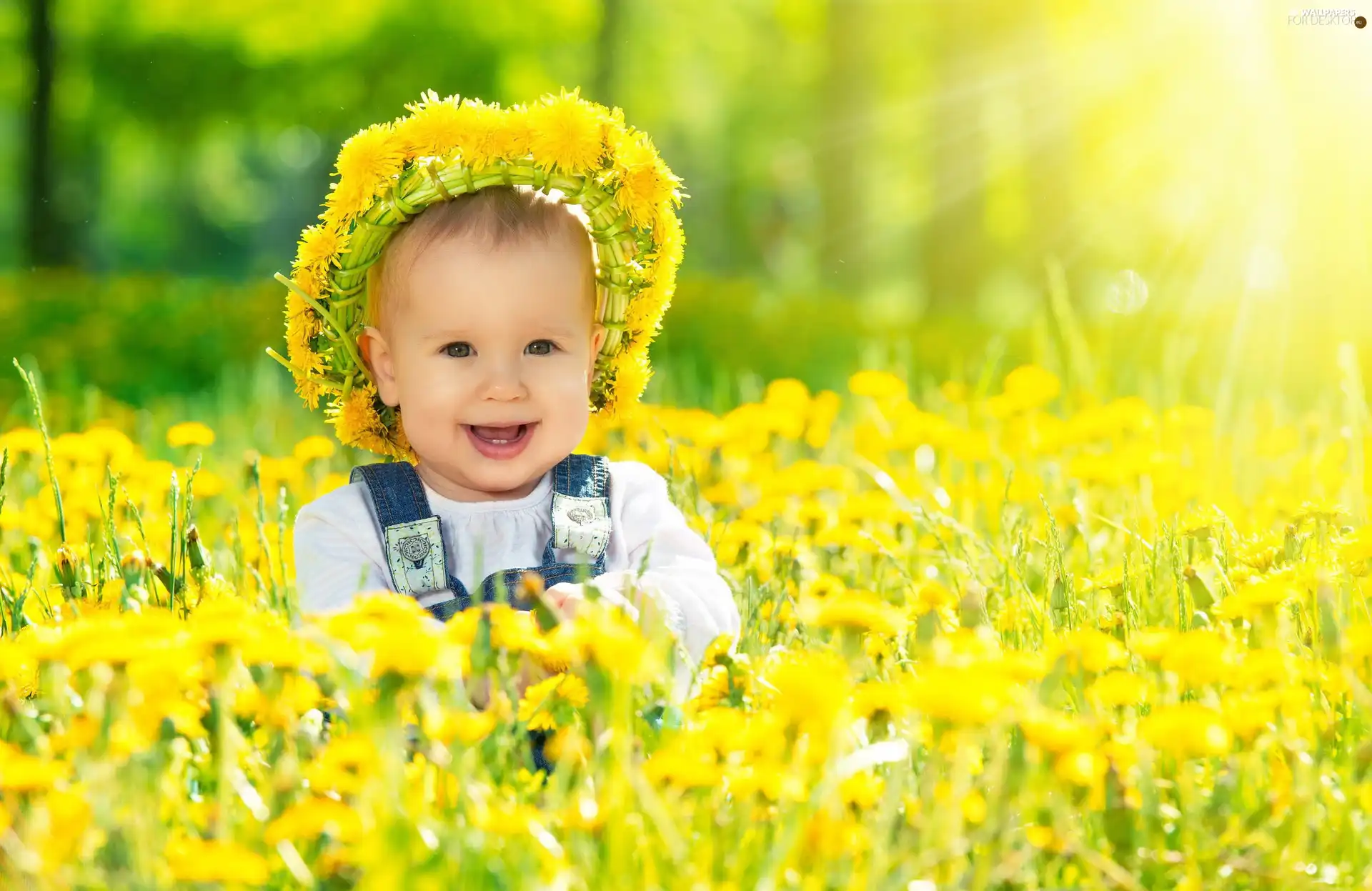 Flowers, Kid, wreath