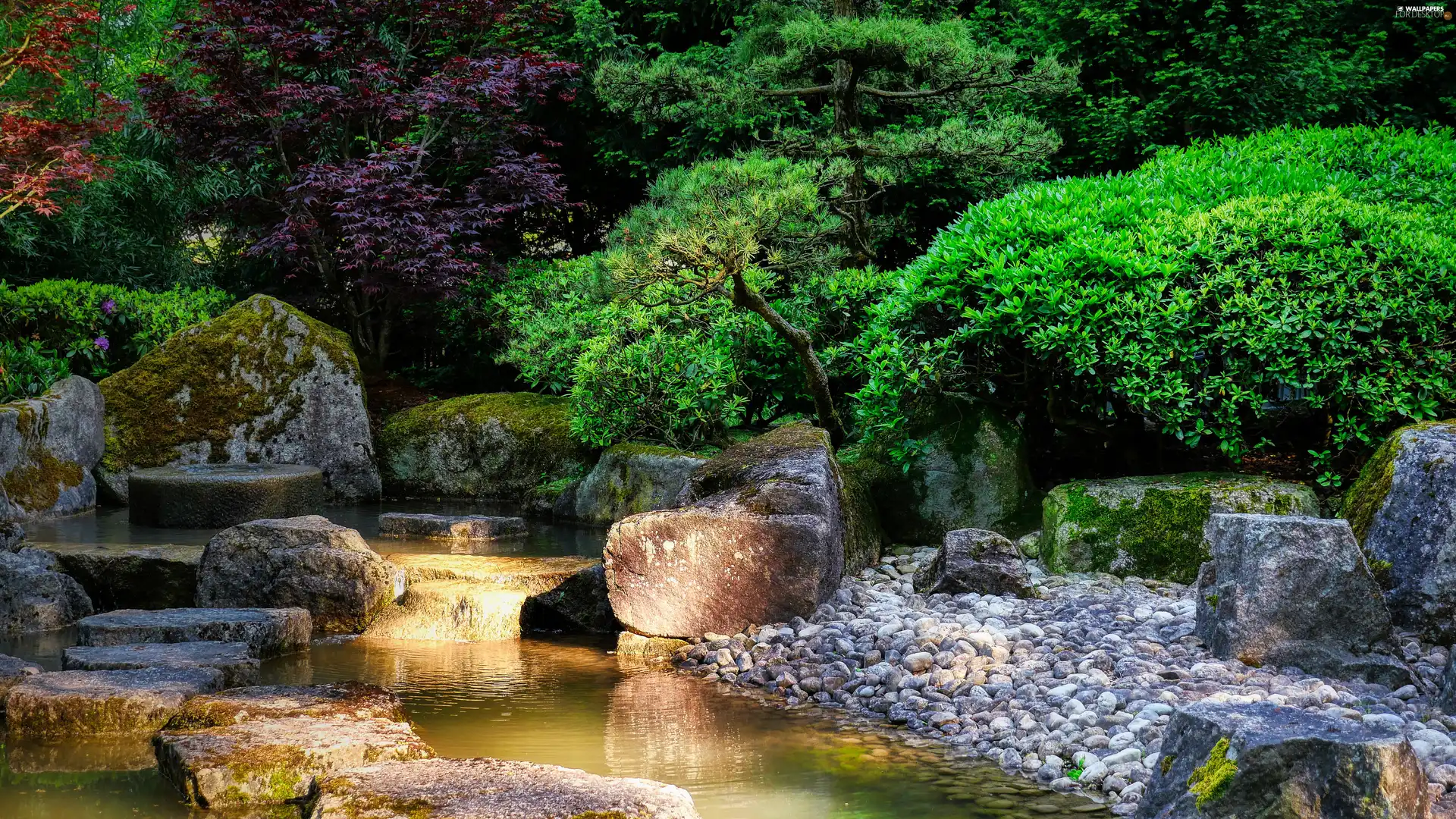 viewes, Japanese Garden, flux, Stones, Bush, trees