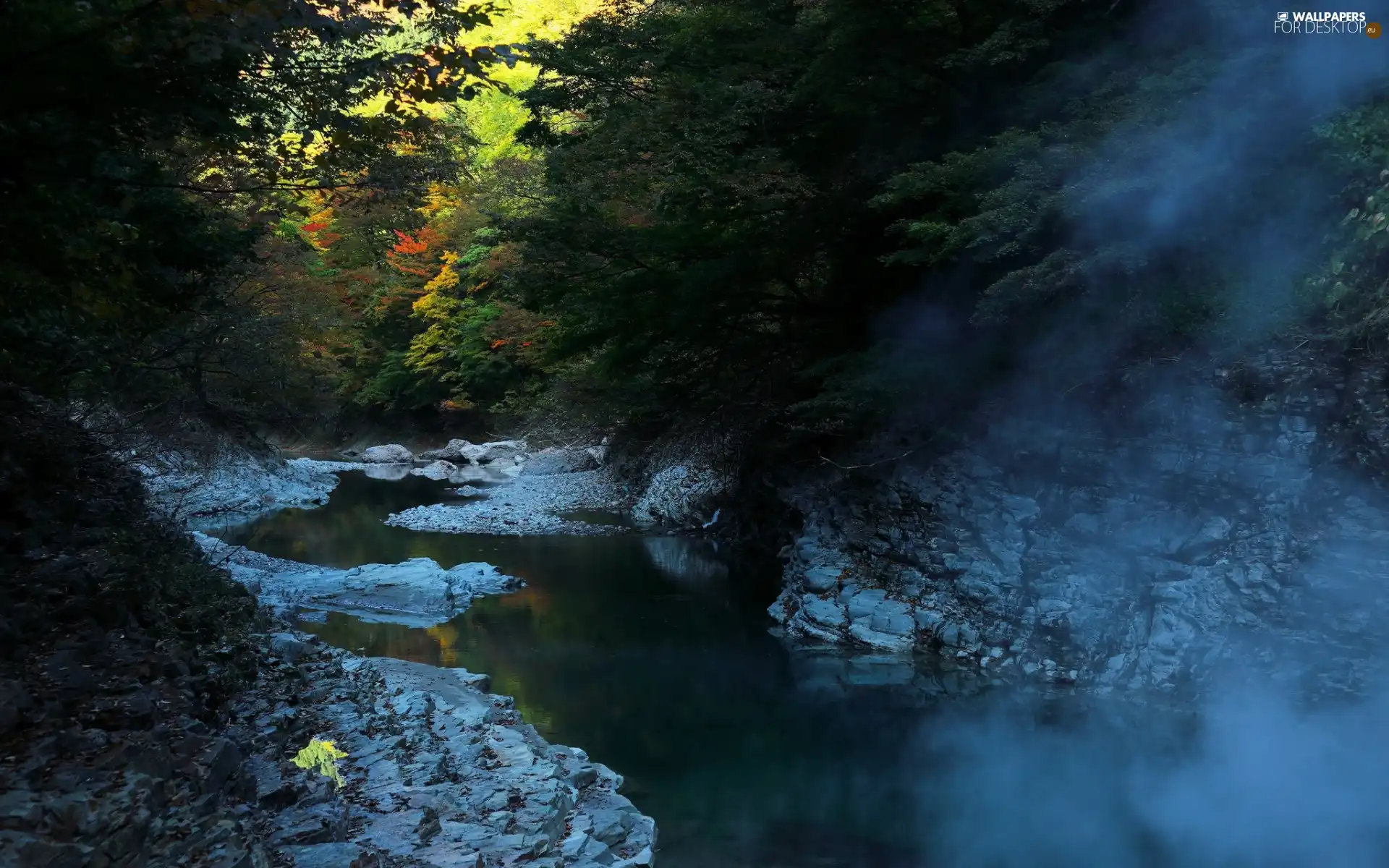 rocks, forest, Fog, autumn, Stones, River