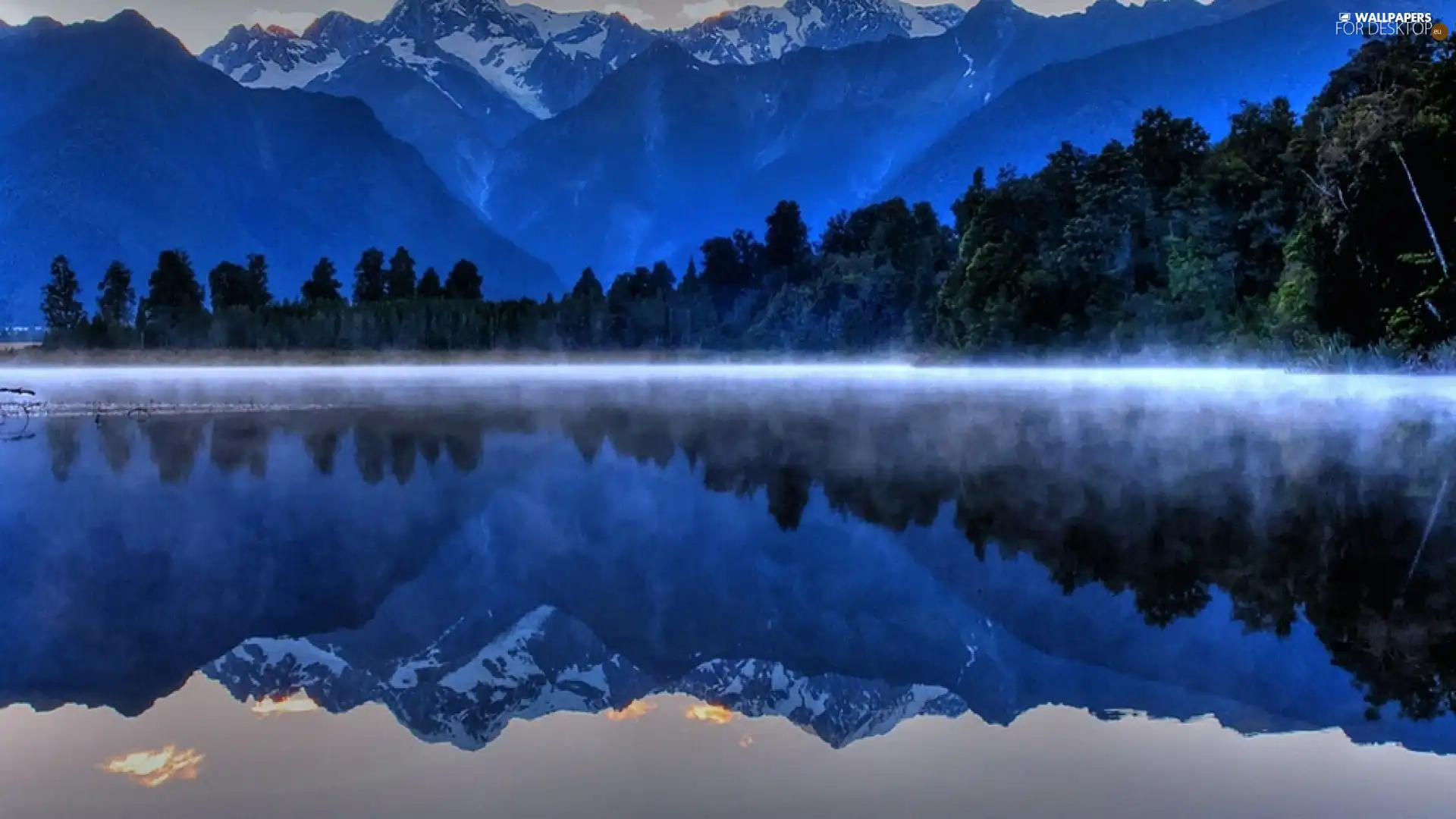 Fog, Mountains, forest