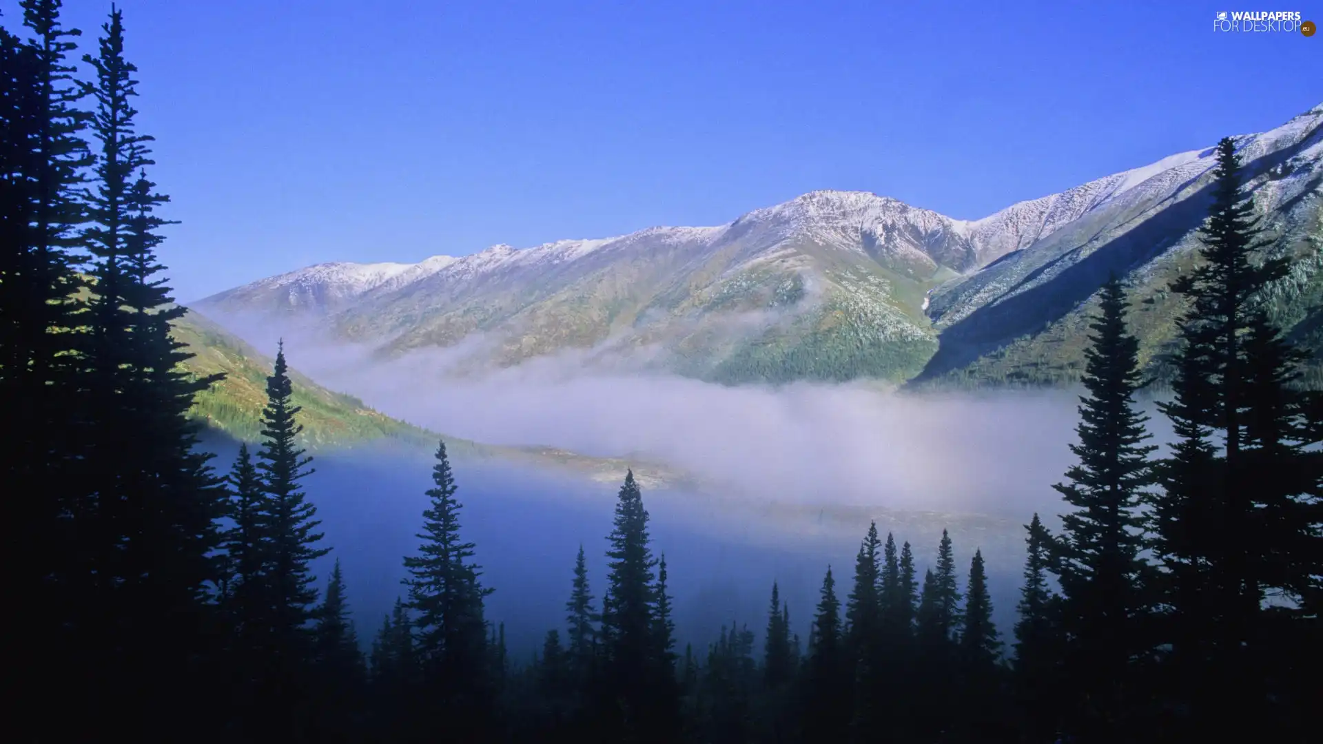 Mountains, Fog