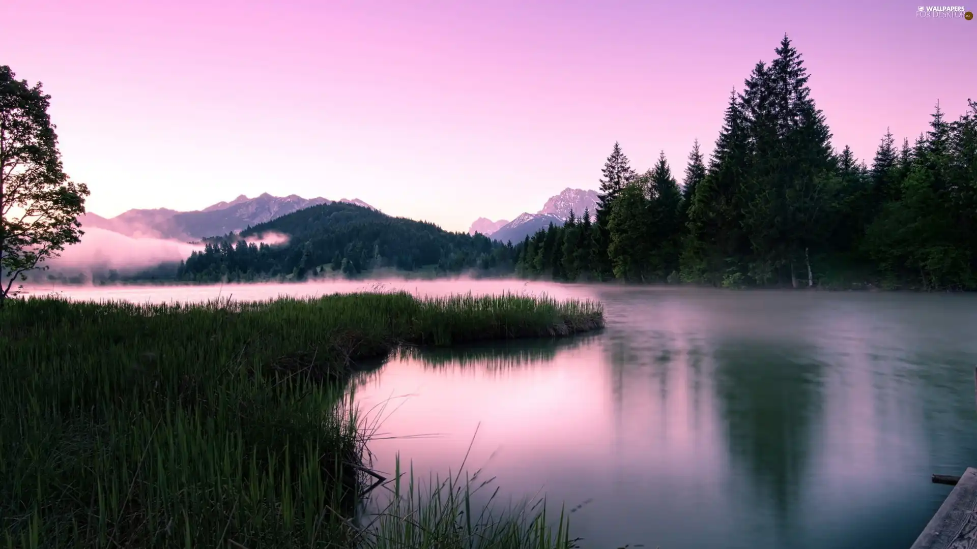 River, woods, Fog, Mountains