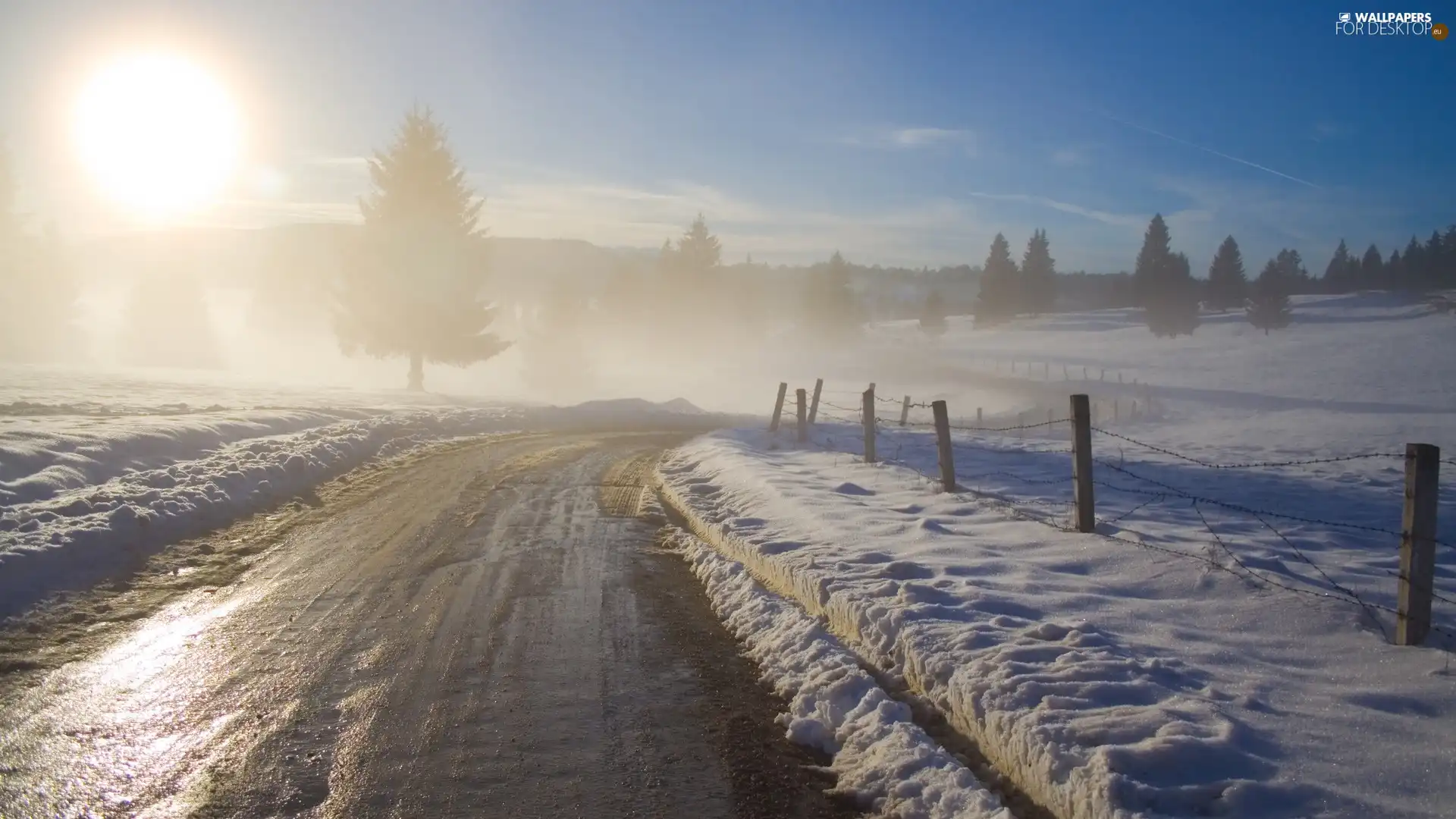 trees, Way, Fog, sun, viewes, snow