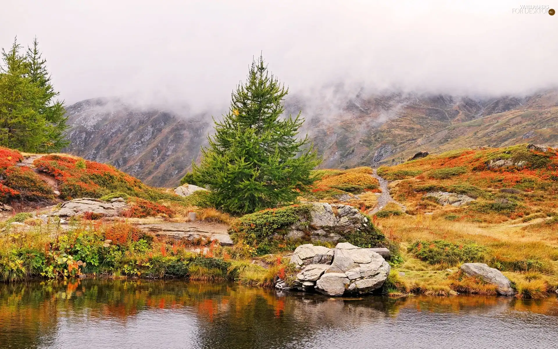 Fog, water, trees, viewes, Mountains